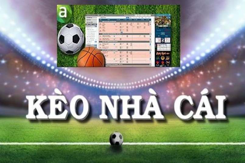 Tìm hiểu bảng kèo để nhận biết kèo dụ